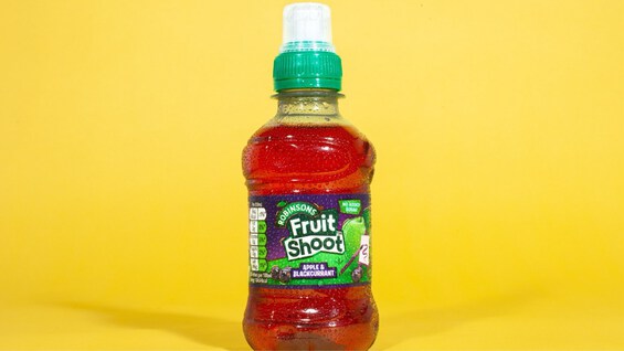 Black Currant Fruit Shoot